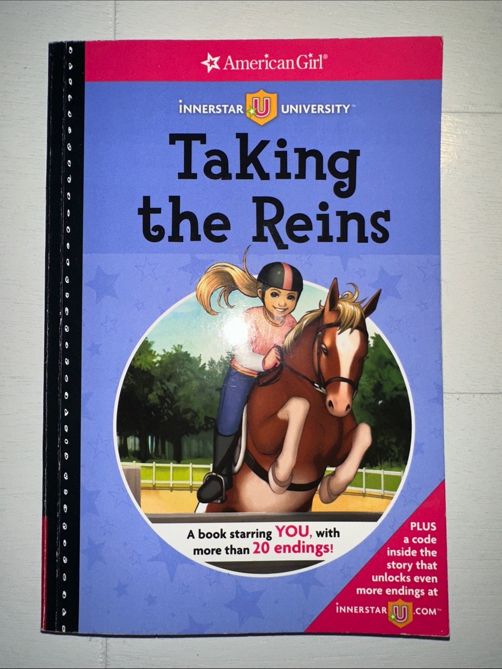 Taking the Reins